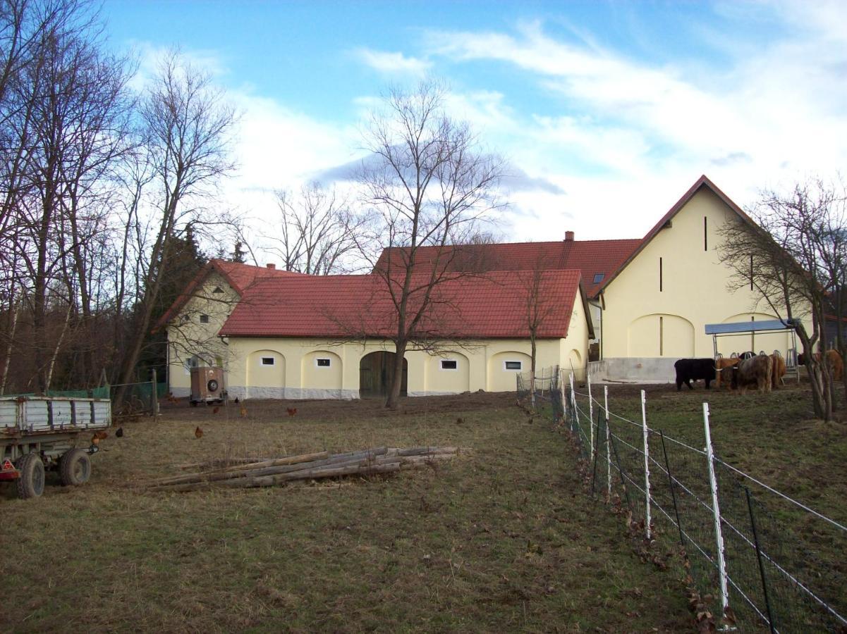Jaworowa Zagroda Domaszkow Luaran gambar